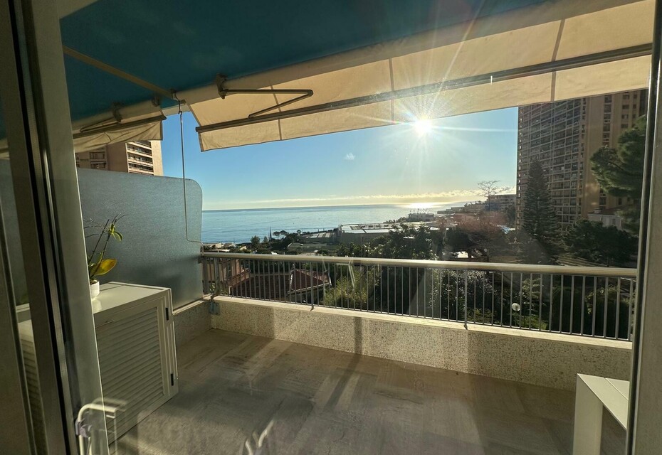 Luxurious 2-Bedroom Apartment with Sea View - Trocadéro